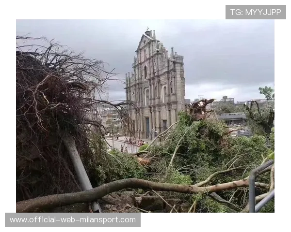 惠州台风后赶海现象，展现人与自然和谐共生，惠州的台风要什么时候来什么时候走